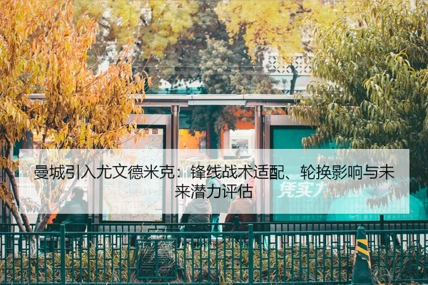 曼城引入尤文德米克：锋线战术适配、轮换影响与未来潜力评估（yaxin）