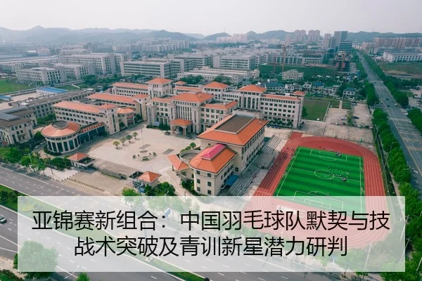 亚锦赛新组合：中国羽毛球队默契与技战术突破及青训新星潜力研判